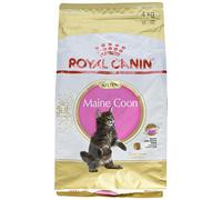Royal Canin Comida para gatos Kitten Maine Coon 4 Kg