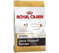 Royal Canin Comida para perros Jack Russell Junior 3 Kg