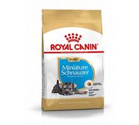 Royal Canin Schnauzer Miniatura Puppy - Pienso seco para cachorro de raza - Cantidad: 1,5 kg