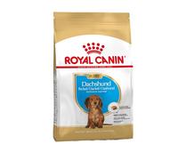 ROYAL CANIN Teckel Cachorro 1.5kg