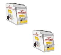 ROYAL CANIN DERMACOMFORT Mousse | 12 x 85 g | Comida húmeda para Perros Adultos a Partir de 10 Meses de Edad | para Pieles sensibles | con ácidos grasos Omega-3 y -6