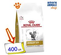 Royal Canin Dieta Veterinaria Urinaria S/O Caloría Moderada Gatos 400 gr/1,5 Kg