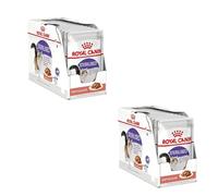 Royal Canin Sterilised comida húmeda en salsa para gato adulto esterilizado - Pack 12 x Bolsa de 85 gr