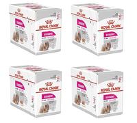 ROYAL CANIN CCN Pate Exigente 12x85g
