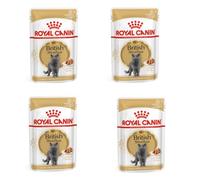 Royal Canin Feline British Shorthair Gravy | Paquete de 4 | 4 x 12 x 85g | Alimento Completo para Gatos Adultos de Raza British Shorthair | Trocitos en Salsa | A Partir de 12 Meses de Edad