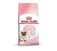 Royal Canin Mother & Babycat - Pienso para gatito recién nacido y gata gestante/lactante - Cantidad: 10 kg
