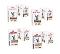 Royal Canin Gastro Intestinal Fibre Response |Paquete de 4 | 4 x 12 x 85 g | Alimento dietético Completo para Gatos Adultos | para Gatos con estreñimiento crónico