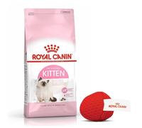Royal Canin Gato Kitten 10 Kg