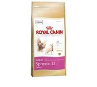 Royal CANIN gato Forro Sphynx 33 10 kg