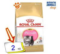 Royal Canin Gato Gatito Persa Comida Seca 400 Gr/2 Kg