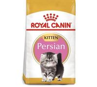 Royal Canin Persian Kitten - Pienso seco para gatitos de raza - Cantidad: 4 kg