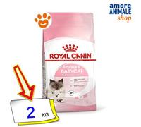 Royal Canin Gato Madre Y Babycat Comida Seca Gatos 400 Gr/2/4 Kg
