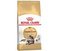 ROYAL CANIN Maine Coon Adulto 4kg + ¡Túnel para gatos GRATIS!