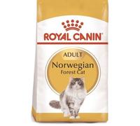 Royal Canin Norwegian Forest - Pienso seco para gatos de raza - Cantidad: 10 kg