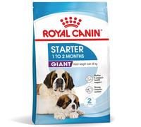 Royal Canin Giant Starter Mother & Babydog - Pienso para cachorros recién nacidos y perras gestantes/lactantes - Cantidad: 2 x 15 kg