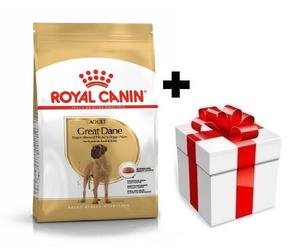 ROYAL CANIN Gran Danés Adulto 12kg + sorpresa gratis