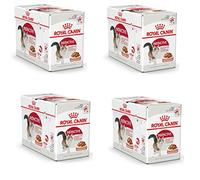 Royal Canin Instinctive Gravy | Pack de 4 | 4 x 12 x 85 g | Comida húmeda para gatos adultos | Pequeños trozos en salsa | Para apoyar un estilo de vida saludable