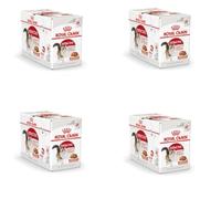 Royal Canin Instinctive Jelly | Paquete de 4 | 4 x 12 x 85 g | Comida húmeda en gelatina para Gatos Adultos | para el tracto urinario y el Mantenimiento del Peso | Receta equilibrada