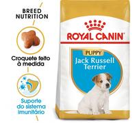 Royal Canin Jack Russel Terrier Puppy - Pienso seco para cachorro de raza - Cantidad: 3 kg