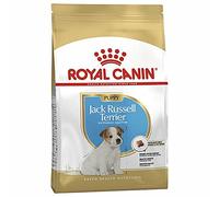 Royal Canin Jack Russell Terrier Puppy | 1,5 kg | Pienso seco para Cachorros de Jack Russell Terrier hasta el 10º Mes | para apoyar el Sistema inmunológico | Pelaje Hermoso y Dientes sanos