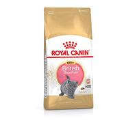ROYAL CANIN Kitten British Shorthair - Comida para Gatos (10 kg, 1 x 10 kg)