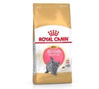 ROYAL CANIN Kitten British Shorthair - Comida para Gatos (10 kg, 1 x 10 kg)