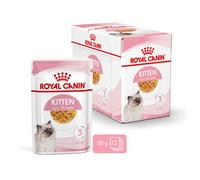 Royal Canin Kitten - Comida en salsa para gatitos - Cantidad: 12 x 85 g
