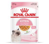 Royal Canin Kitten - Comida en salsa para gatitos - Cantidad: 85 g