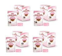 Royal Canin Kitten Comida húmeda | 4 x 12 x 85 g | Trozos Finos en Salsa | Alimento Completo para Gatitos | Especial para Gatitos de hasta 12 Meses de Edad