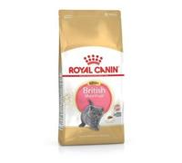 Royal Canin Kitten - Comida para Gatos (Pelo Corto, 400 g, 1 Unidad)