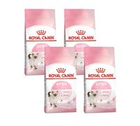 Royal Canin Kitten | Pack de 4 | 4 x 400 g | Alimento Completo para Gatitos en la Segunda Fase de Crecimiento (hasta los 12 Meses)