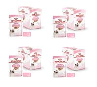 Royal Canin Kitten | Paquete de 4 | 4 x 12 x 85 g | Comida húmeda para Gatitos | con trocitos Finos en gelatina | Adecuado en la Segunda Fase de Crecimiento hasta los 12 Meses de Edad