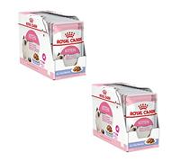 Royal Canin Kitten | Paquete Doble | 2 x 12 x 85 g | Comida húmeda para Gatitos | con trocitos Finos en gelatina | Adecuado en la Segunda Fase de Crecimiento hasta los 12 Meses de Edad