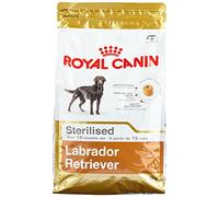 Royal Canin Labrador Adult esterilizado, 1 Unidad (1 x 3 kg)