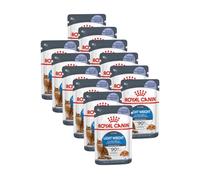 Royal Canin Ultra Light Adult - Alimento en gelatina para gatos para control de peso - Cantidad: 85 g
