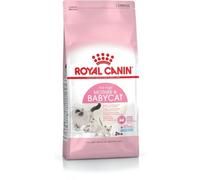 ROYAL CANIN madre y bebé gato 34 2 kg