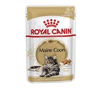 Royal Canin Maine Coon Adult | 12 x 85 g | Comida húmeda para Gatos | Especialmente Adaptada a Las Necesidades de los Gatos Maine Coon | con Contenido energético Adaptado