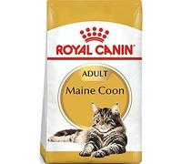 Royal Canin Maine Coon Adulto | 2 kg | Pienso seco para Gatos | Adaptado a Las Necesidades de los Gatos Maine Coon | para apoyar Las articulaciones y los Huesos