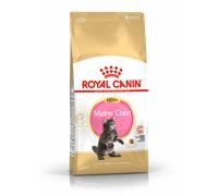ROYAL CANIN Maine Coon Gatito 10kg + sorpresa gratis