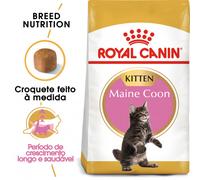 Royal Canin Maine Coon Kitten - Pienso para gatitos de raza - Cantidad: 4 kg