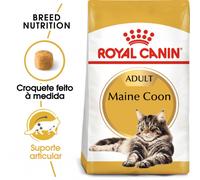 ROYAL CANIN Maine Coon Adulto 2kg