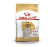 Royal Canin Maltese Adult | 1,5 kg |Alimento seco para Malteses Adultos | para el Pelaje y la digestión | con EPA y DHA | A Partir de 10 Meses de Edad