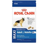 Royal Canin Maxi adult 5+ para perros mayores de 5 años - Envase 4Kg