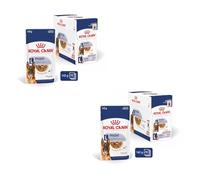 Royal Canin Maxi Ageing 8+ | Paquete Doble | 2 x 10 x 140 g | Alimento Completo para Perros | para Perros Grandes Mayores y Seniors (26 a 44 kg) | A Partir de los 5 años