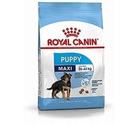 Royal Canin Maxi Puppy