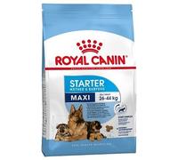 Royal Canin Maxi Starter
