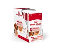Royal Canin Medium Adult | 10 x 140 g | Alimento completo para perros adultos medianos de 11 a 25 kg | De 12 meses a 10 años