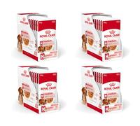 ROYAL CANIN Medium Adult | Paquete de 4 | 4 x 10 x 140 g | Alimento Completo para Perros Adultos medianos de 11 a 25 kg | De 12 Meses a 10 años