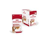 Royal Canin Medium Ageing húmedo 10x140 g PACK AHORRO