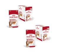 Royal Canin Medium Ageing 10+ | Paquete Doble | 2 x 10 x 140 g | Comida húmeda para Perros de tamaño Mediano (11 a 25 kg) | A Partir de los 10 años | para favorecer un envejecimiento Saludable